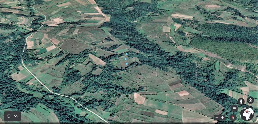 Boljevac, Rtanj – Rujište 85ari