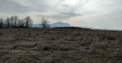 Boljevac, Valakonje – Bukovo 407,53ari