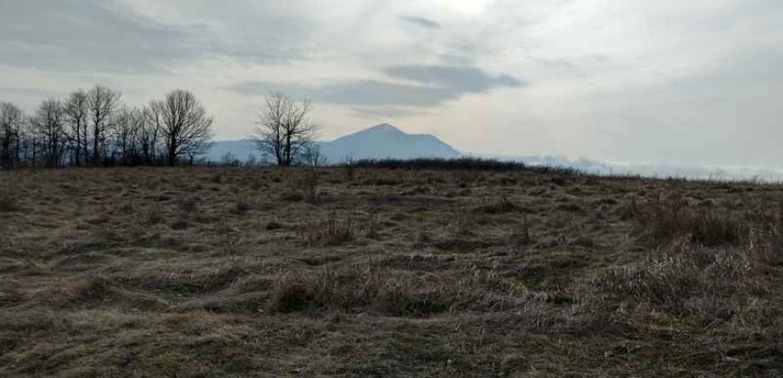 Boljevac, Valakonje – Bukovo 407,53ari