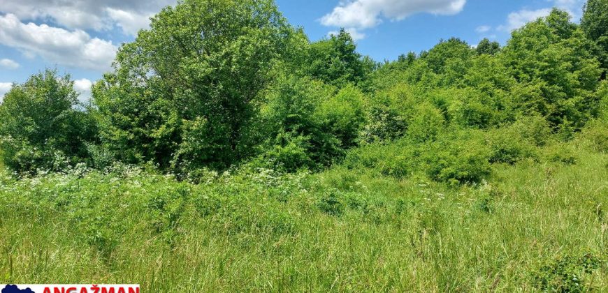 Boljevac, Rtanj – Mirovo 2ha 70ari 67kvm