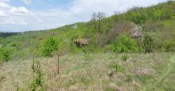 Zaječar – Gornja bela reka 31kvm-1ha 44a 11kvm