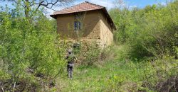 Zaječar – Gornja bela reka 31kvm-1ha 44a 11kvm