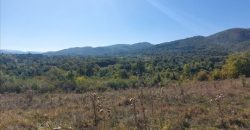 Ilino-dve parcele pov 1ha 43a 78kvm