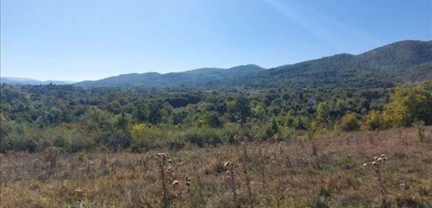 Ilino-dve parcele pov 1ha 43a 78kvm