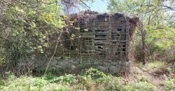 Zaječar – Lasovo 5ha 46a 76kvm