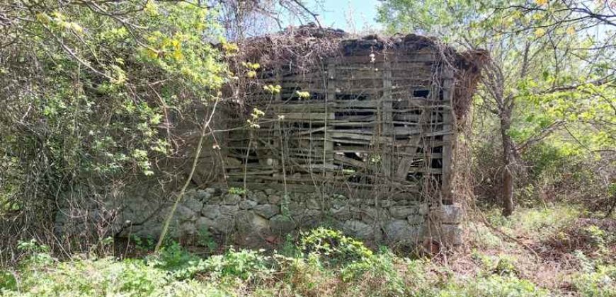 Zaječar – Lasovo 5ha 46a 76kvm