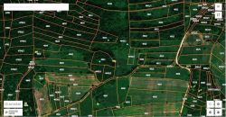 Boljevac, Rtanj – Vrbovac 4ha 42a 44kvm + 92kvm