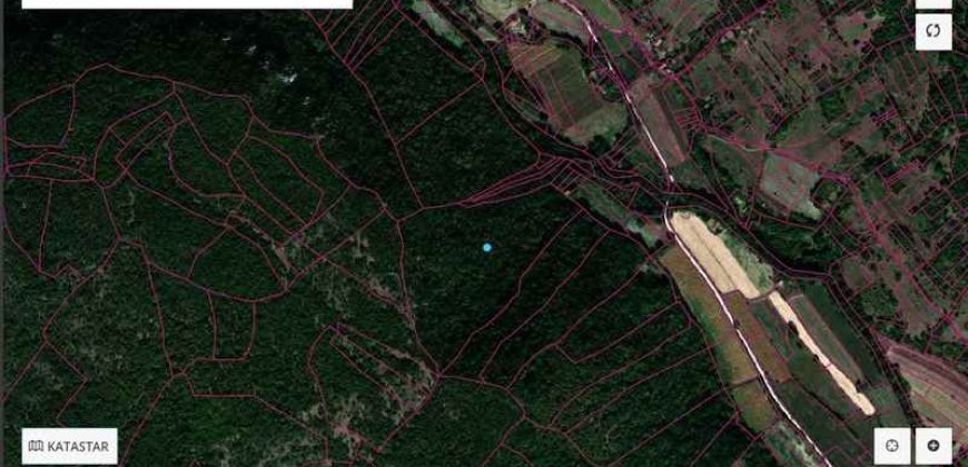 Boljevac, Rtanj – Jablanica 4ha 65a 51kvm