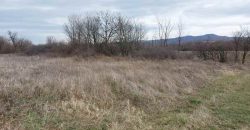 Boljevac, Rtanj – Mirovo 1ha 2a