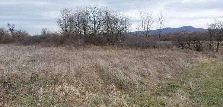 Boljevac, Rtanj – Mirovo 1ha 2a