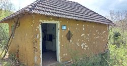 Zaječar – Gornja bela reka 31kvm-1ha 44a 11kvm