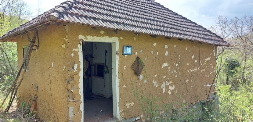 Zaječar – Gornja bela reka 31kvm-1ha 44a 11kvm