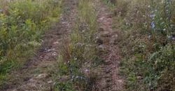 Boljevac, Rtanj – Jablanica 1ha 28ari i 82kvm