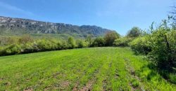 Zaječar – Lasovo 5ha 46a 76kvm