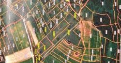 Rtanj-Bačevica 2ha 58a 94kvm