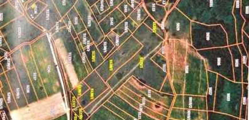 Rtanj-Bačevica 2ha 58a 94kvm