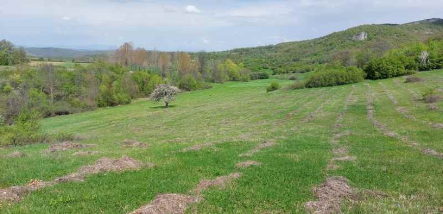 Zaječar – Gornja bela reka 3ha 23a 86kvm