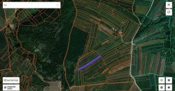 Boljevac, Rtanj – Ilino 26a 64kvm