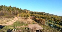 Boljevac – Rtanj 2ha 29a 62kvm