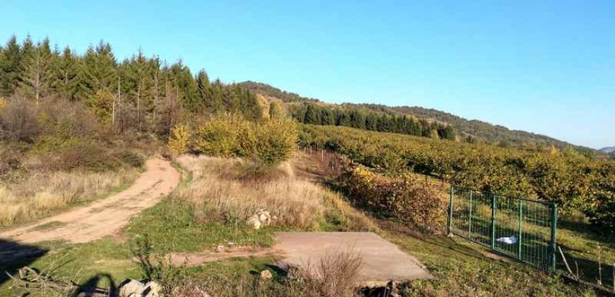 Boljevac – Rtanj 2ha 29a 62kvm