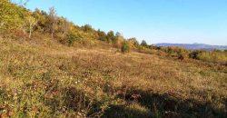 Boljevac – Rtanj 2ha 29a 62kvm