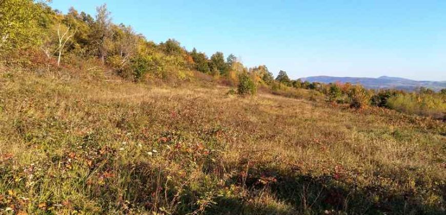 Boljevac – Rtanj 2ha 29a 62kvm