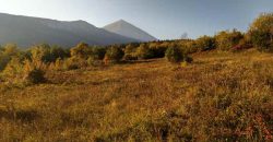 Boljevac – Rtanj 2ha 29a 62kvm