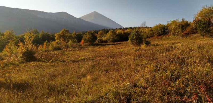 Boljevac – Rtanj 2ha 29a 62kvm