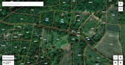 Boljevac, Rtanj – Vrbovac 63,69ari