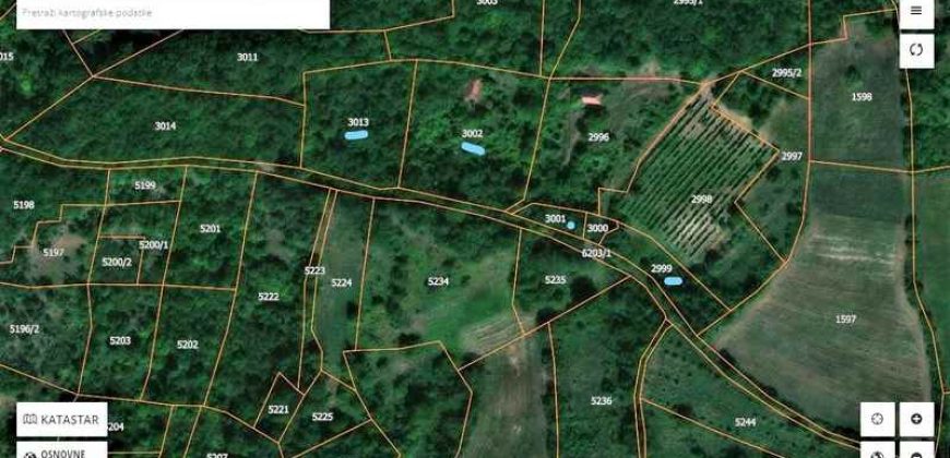 Boljevac, Rtanj – Vrbovac 63,69ari