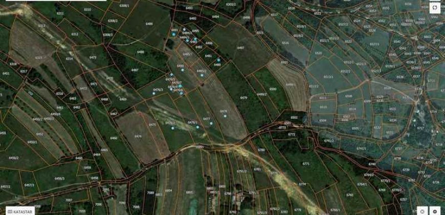 Boljevac, Rtanj – Krivi vir 5ha 64kvm + 52kvm