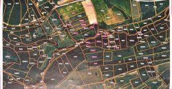 Boljevac, Rtanj – Bačevica 3ha 39a 60kvm