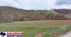 Boljevac, Rtanj – Dobro polje 5ha 72a 77kvm