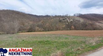 Boljevac, Rtanj – Dobro polje 5ha 72a 77kvm