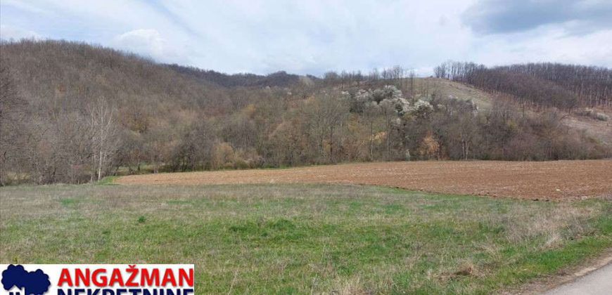 Boljevac, Rtanj – Dobro polje 5ha 72a 77kvm
