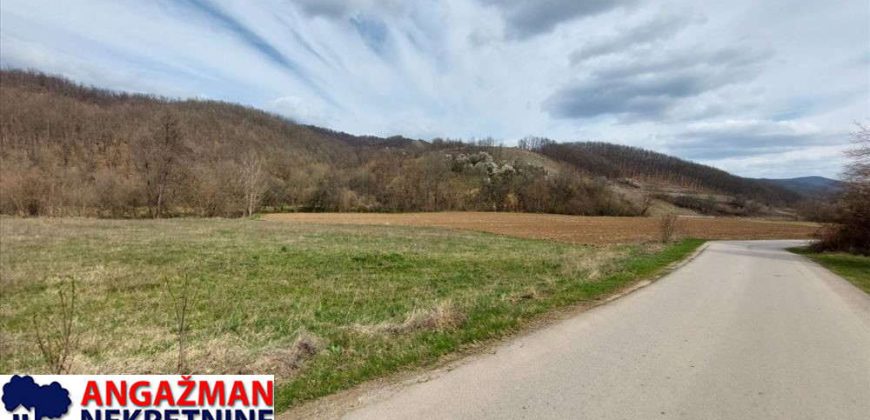 Boljevac, Rtanj – Dobro polje 5ha 72a 77kvm