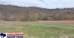 Boljevac, Rtanj – Dobro polje 5ha 72a 77kvm