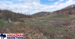 Boljevac, Rtanj – Dobro polje 5ha 72a 77kvm