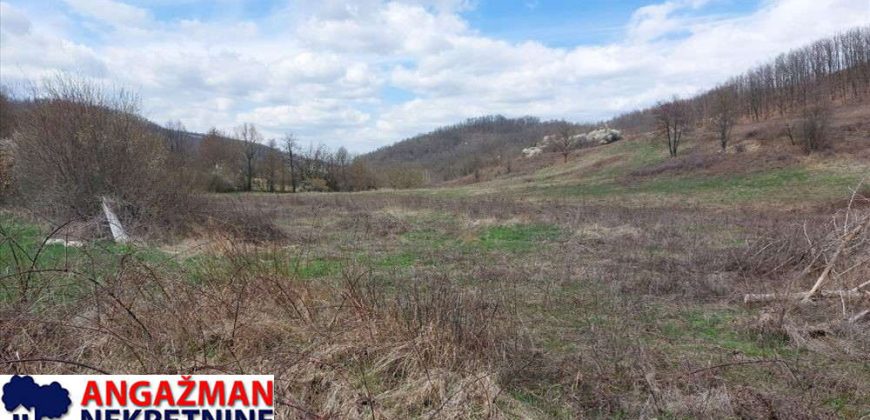 Boljevac, Rtanj – Dobro polje 5ha 72a 77kvm