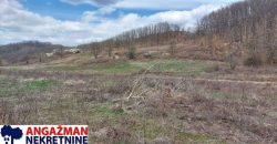 Boljevac, Rtanj – Dobro polje 5ha 72a 77kvm