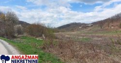 Boljevac, Rtanj – Dobro polje 5ha 72a 77kvm