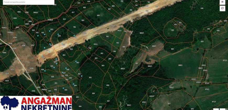 Boljevac, Rtanj – Dobro polje 5ha 72a 77kvm