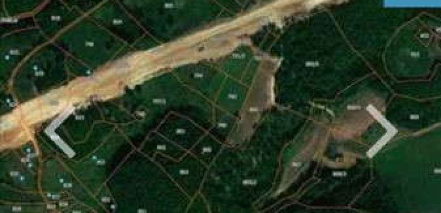 Boljevac, Rtanj – Dobro polje 5ha 72a 77kvm