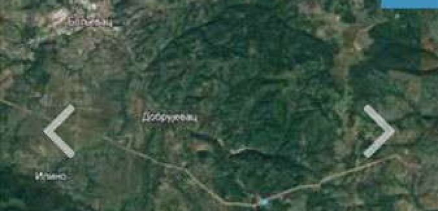 Boljevac, Rtanj – Dobro polje 5ha 72a 77kvm