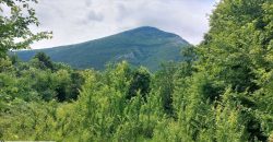 Boljevac, Rtanj – Mirovo 20,57ari