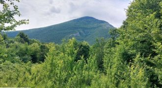 Boljevac, Rtanj – Mirovo 20,57ari