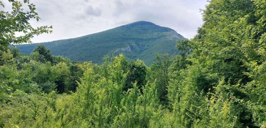 Boljevac, Rtanj – Mirovo 20,57ari