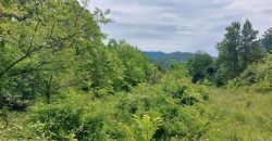 Boljevac, Rtanj – Mirovo 20,57ari