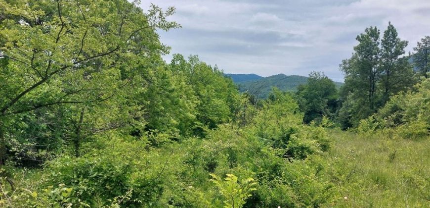 Boljevac, Rtanj – Mirovo 20,57ari