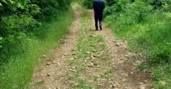 Boljevac, Rtanj – Mirovo 20,57ari